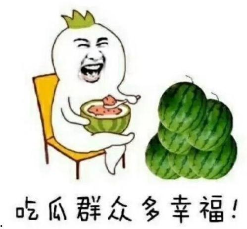 一线吃瓜 娱乐圈 晋江,娱乐圈风云变幻，晋江文坛再掀热潮